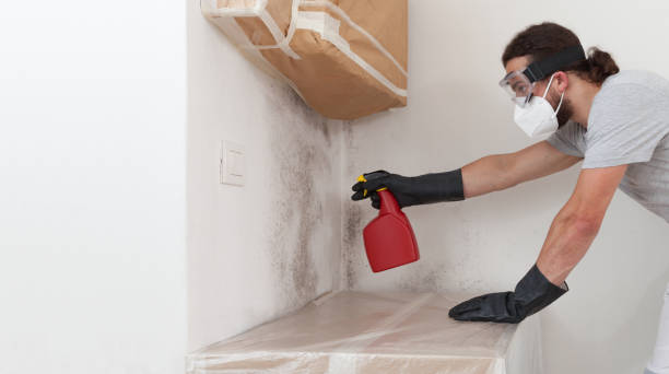 Professional Black Mold Remediation technician working in Portage, MI