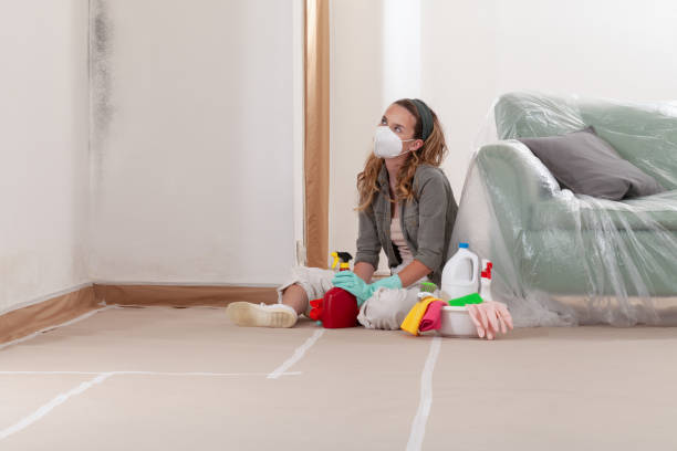 Reliable Black Mold Remediation contractor in Portage, MI by 24 Hour Mold Removal